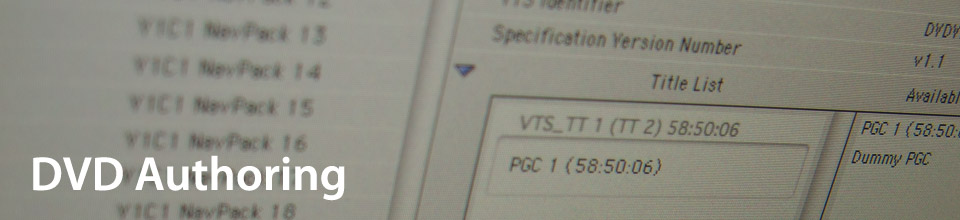 DVD Authoring, DVD Mastering, DVD Encoding Services